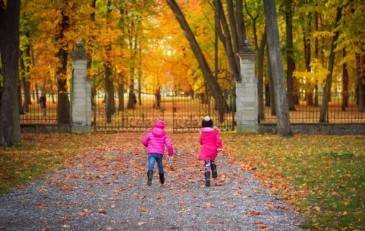 Texas Child Custody Modification Best Interests of the Child Standard